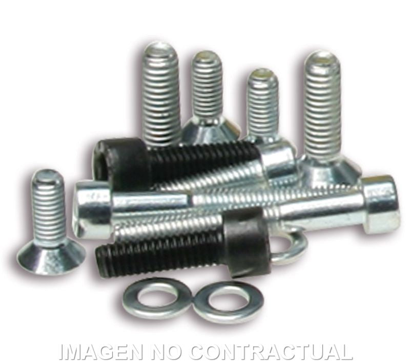 Tornillería Encendido Rotor Interno Piaggio