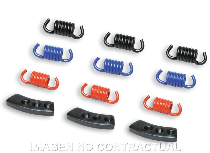 Muelles Embrague Delta Clutch Malossi MHR