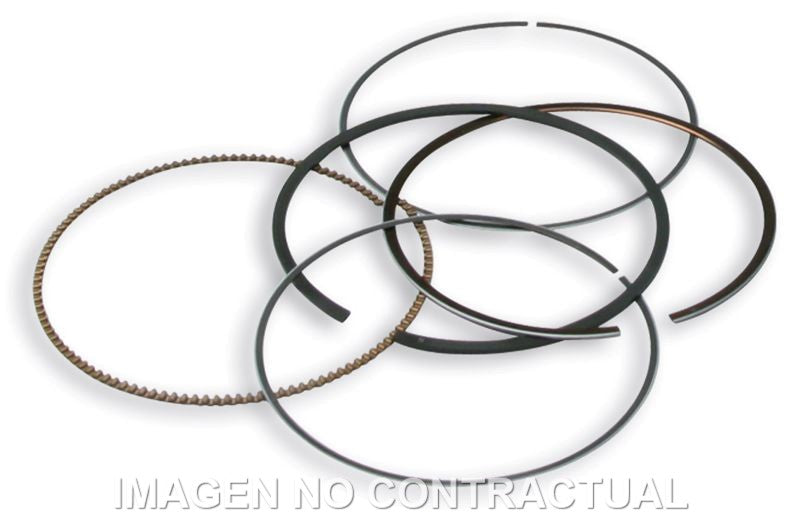 Segmentos D. 75,5 mm
