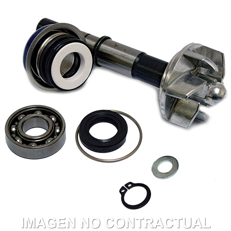 Kit Reparación Bomba De Agua Daelim S3