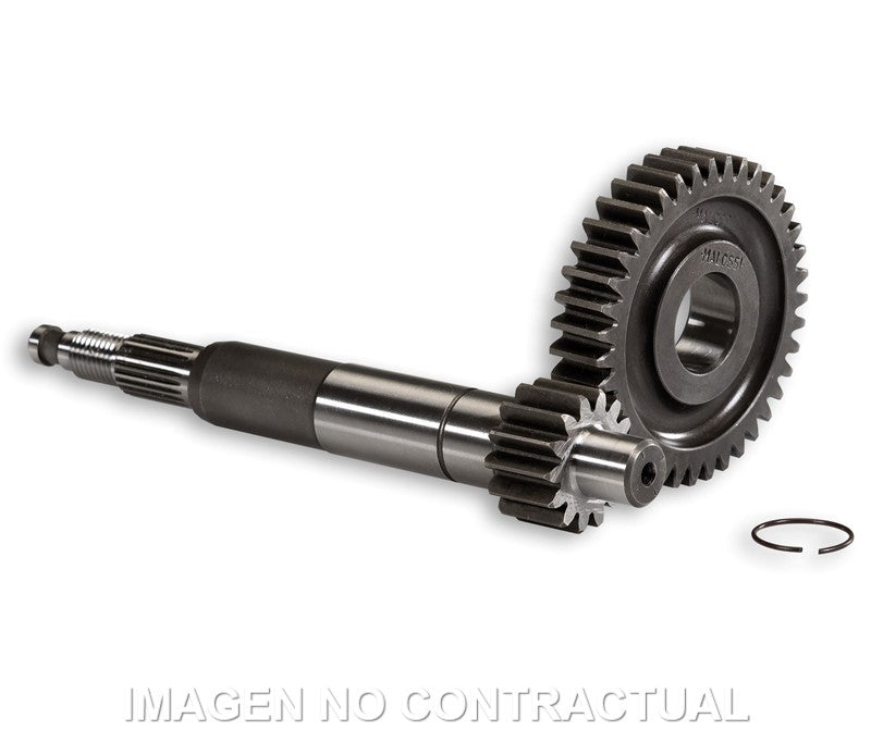Desarrollo Primario Largo Gilera Runner
