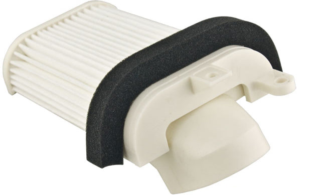CHAMPION IBERICA (V) El filtro de aire Champion CAF3505