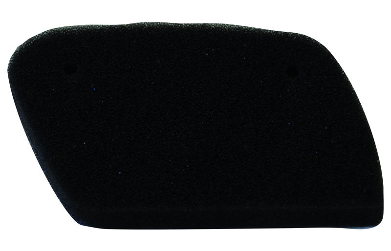 CHAMPION IBERICA (V) El filtro de aire Champion Y318 303 (Y318/303)