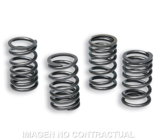 Muelles Embrague Original Motor AM6 TZR 50
