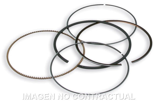Segmentos D. 75,5 mm