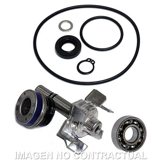 Kit Reparación Bomba De Agua T-Max 500 (04-11)