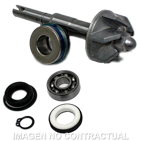 Kit Reparación Bomba De Agua Honda SH125 / PS125