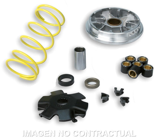Variador Malossi Multivar Derbi Predator LC