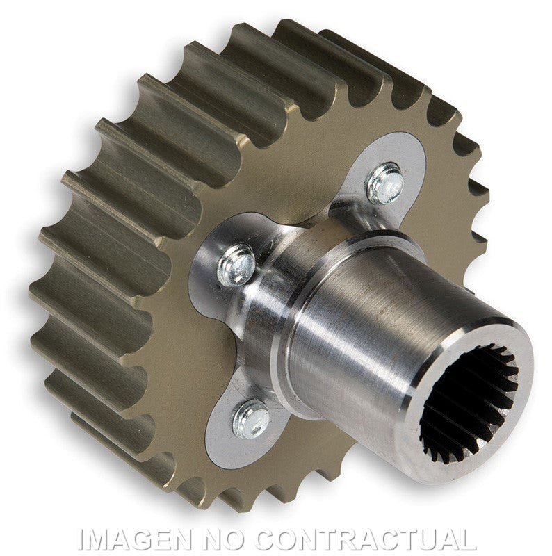 Piñon Malossi K Drive 24 dientes Kymco AK 550