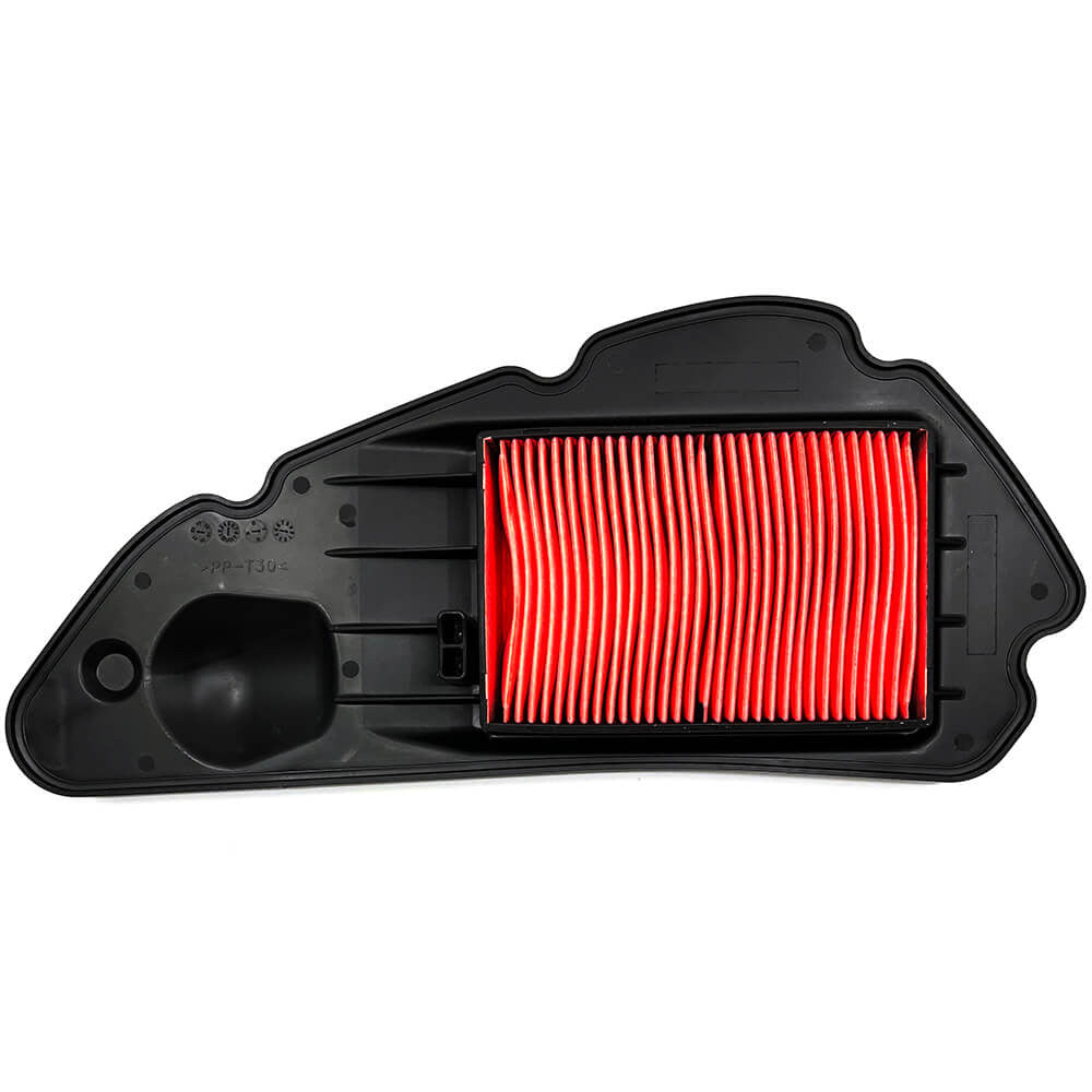 CHAMPION IBERICA (V) Motorcycle Air Filters (CAF0125)