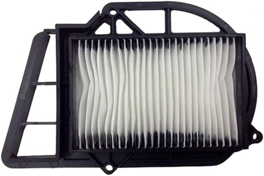 CHAMPION IBERICA (V) Motorcycle Air Filters (CAF3203)