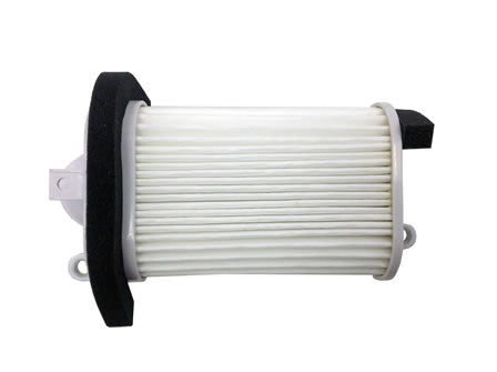 CHAMPION IBERICA (V) El filtro de aire Champion CAF3509