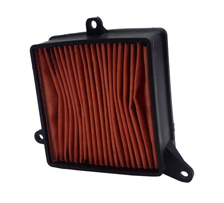 CHAMPION IBERICA (V) El filtro de aire Champion CAF4007WS