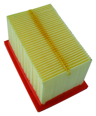 CHAMPION IBERICA (V) El filtro de aire Champion CAF5509 (CAF6601)