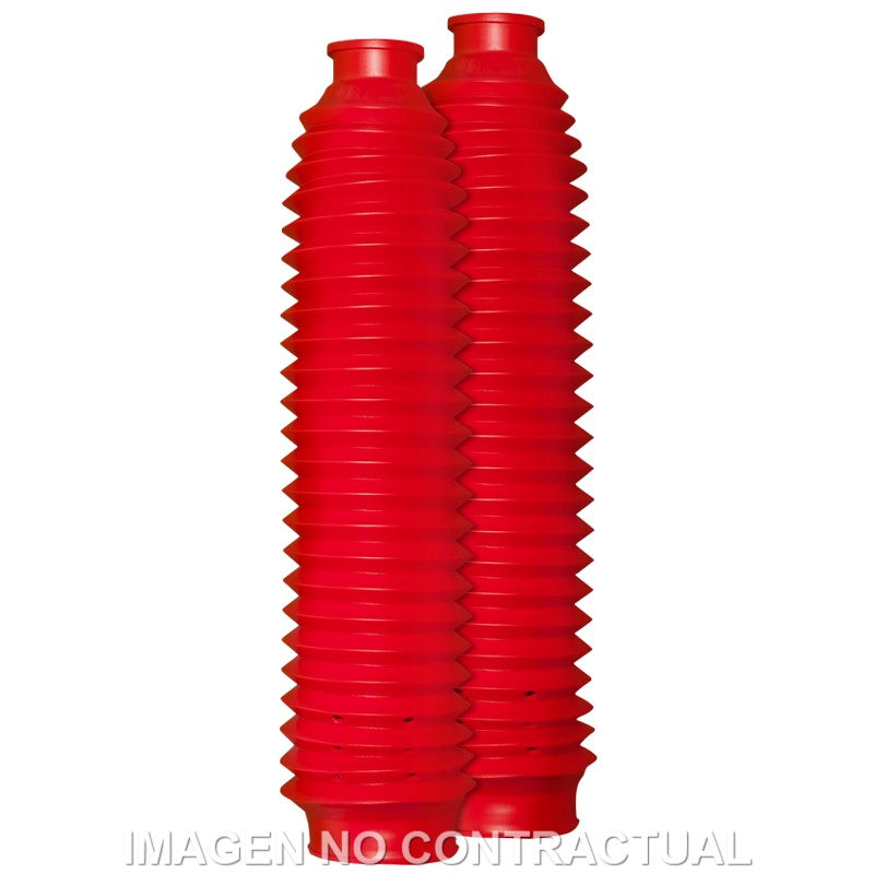 Fuelle Circuit 24 Dientes Rojo