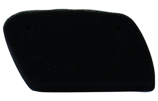 CHAMPION IBERICA (V) El filtro de aire Champion Y318 303 (Y318/303)